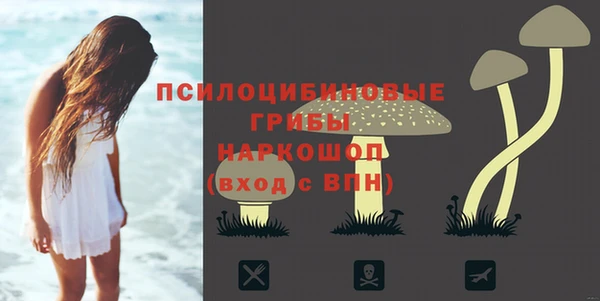 прущий лед Армянск