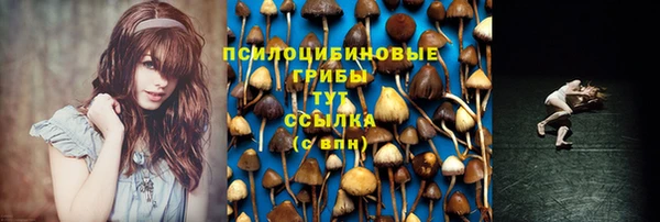 трава Арсеньев