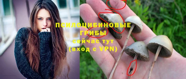 прущий лед Армянск