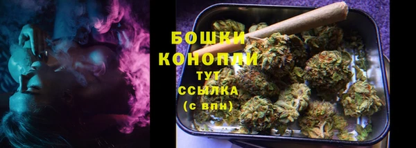 трава Арсеньев